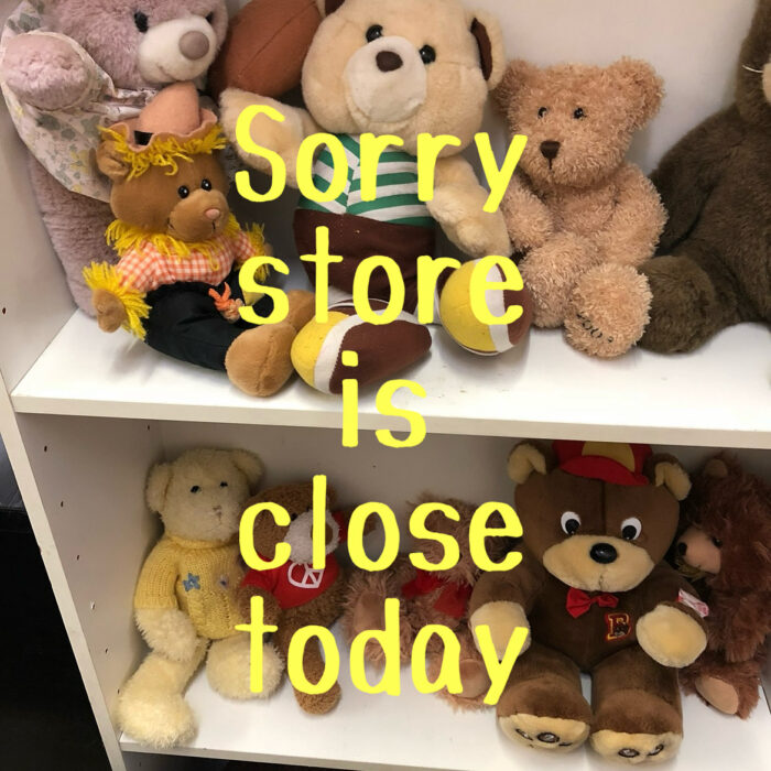 11/19(水) 本日は店休日です